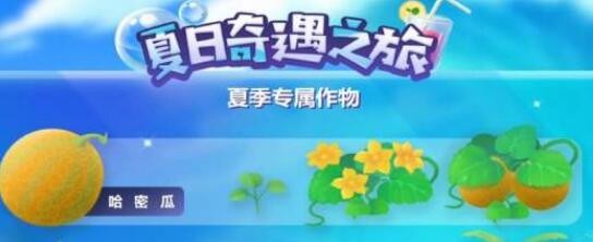 摩尔庄园手游哈密瓜怎么得 哈蜜瓜获取方法