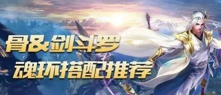 斗罗大陆h5剑骨魂环搭配 剑骨武魂最强魂环搭配