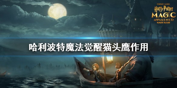 哈利波特魔法觉醒猫头鹰有什么用 猫头鹰作用详解