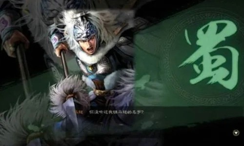 三国志战略版黄忠应该怎么搭配战法 黄忠阵容推荐攻略
