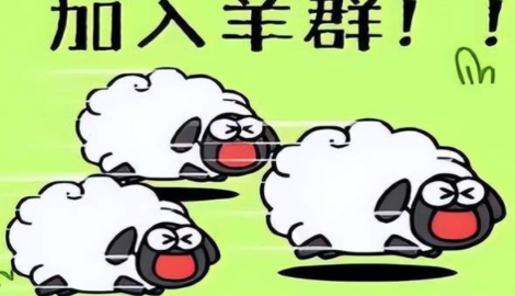 羊了个羊新版本攻略
