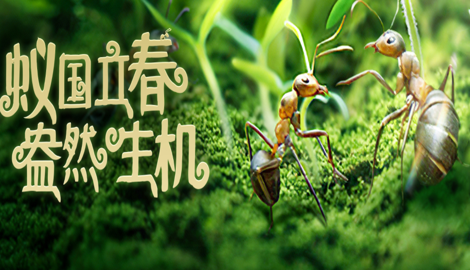 小小蚁国队伍搭配攻略