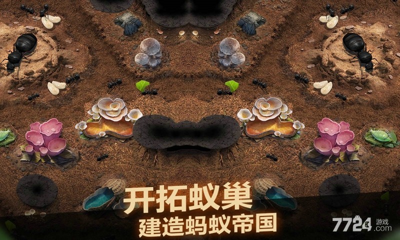 小小蚁国