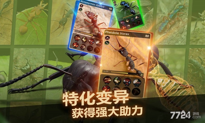 小小蚁国