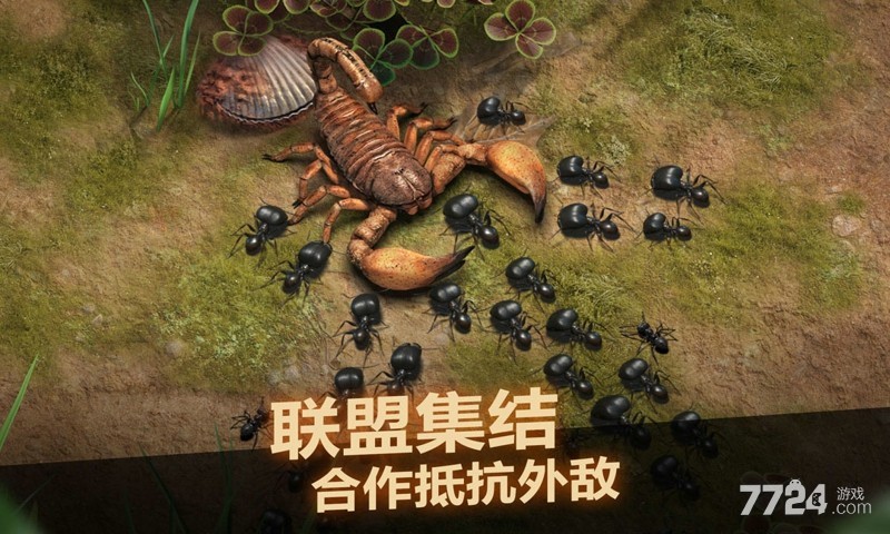 小小蚁国