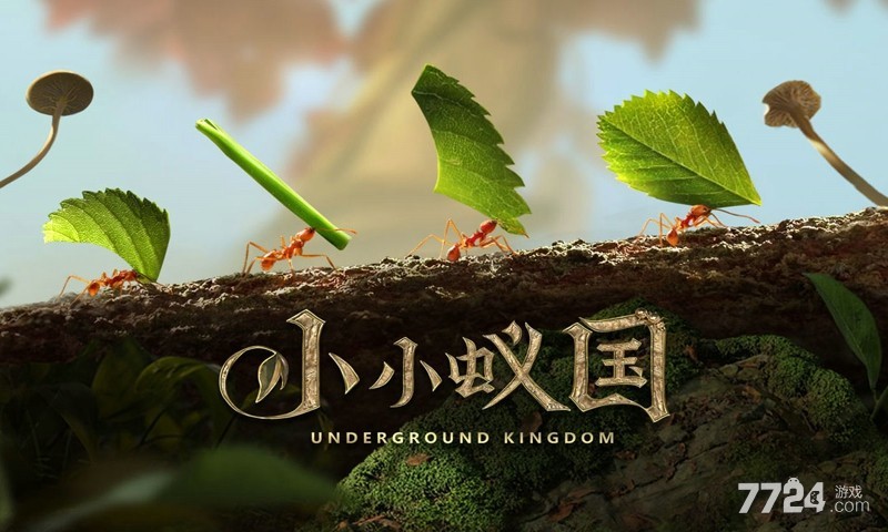 小小蚁国