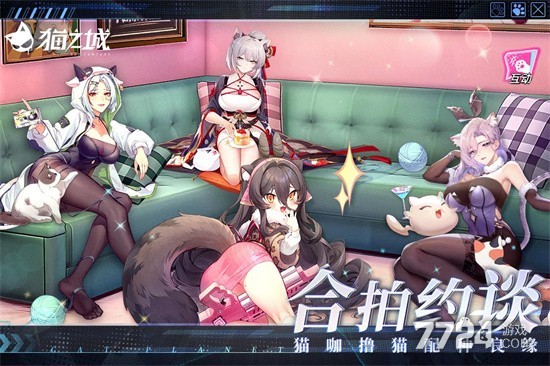 猫之城